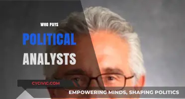Who Funds Political Analysts? Uncovering the Sources Behind Expert Insights