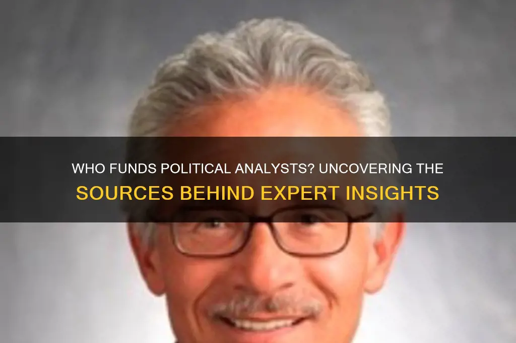 who pays political analysts