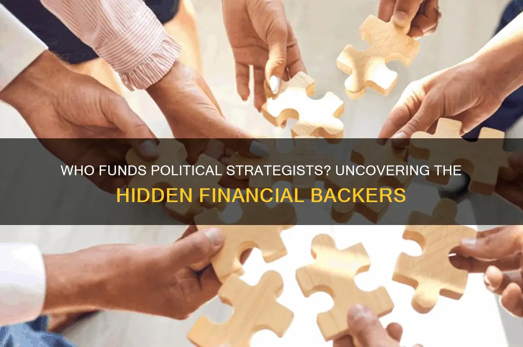 who pays political strategists