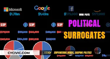Who Funds Political Surrogates? Uncovering the Hidden Financial Backers