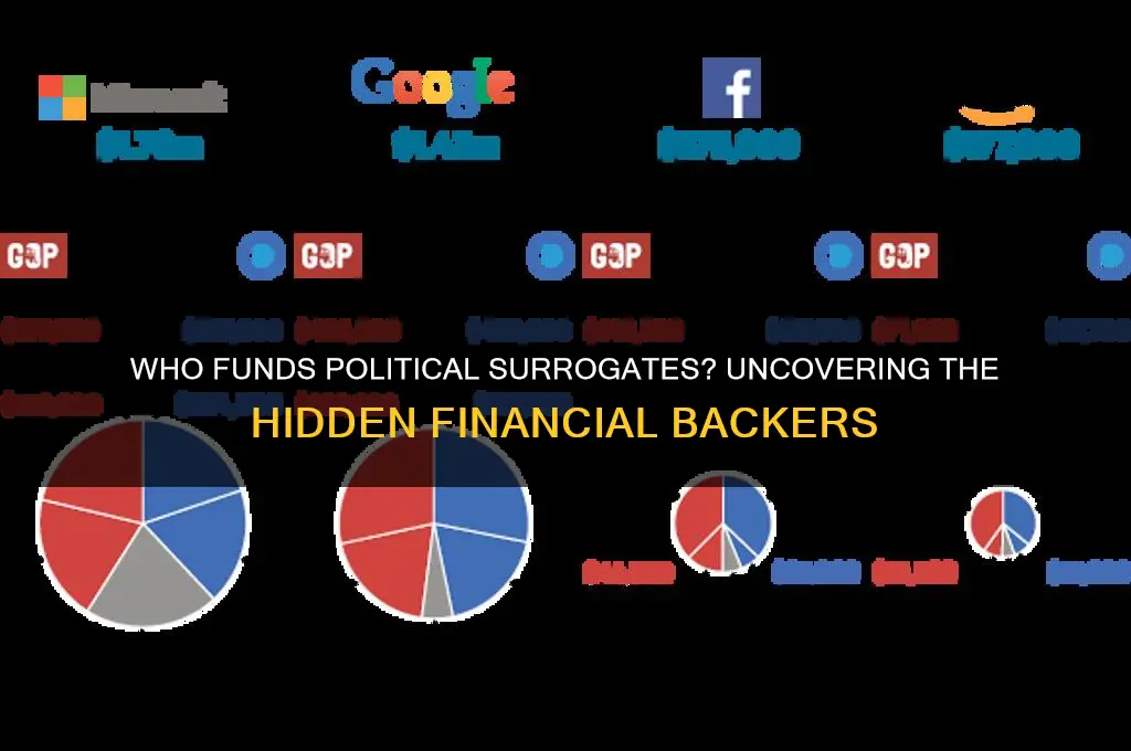who pays political surrogates