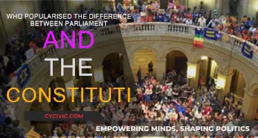 The Constitution and Parliament: A Historical Perspective