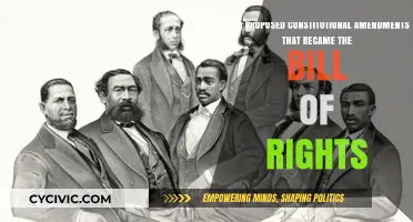 The Bill of Rights: Framing Our Freedoms
