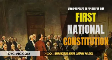 The Plan for America's First Constitution: Whose Idea?
