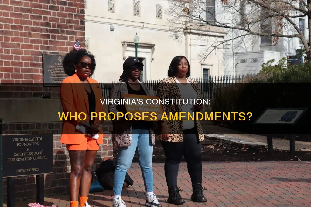 who proposed virginia constitutional amendments