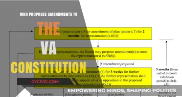 Amending the VA Constitution: Who Proposes Changes?