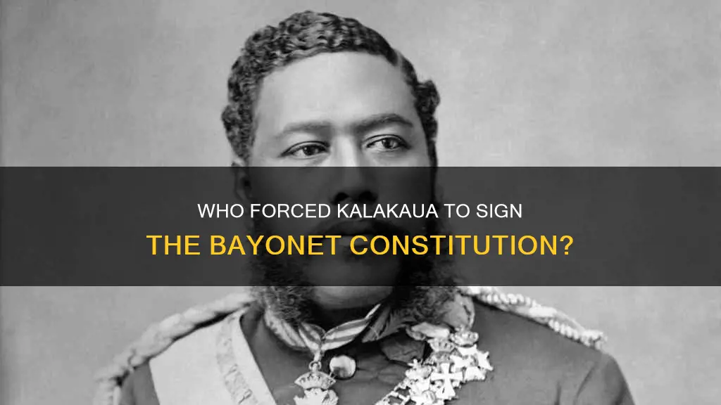 who put kalakau to gunpoint to sign bayonet constitution