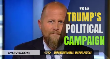Trump's Political Campaign: Who Was Really in Charge?