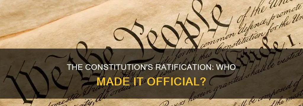 who ratify the constitution