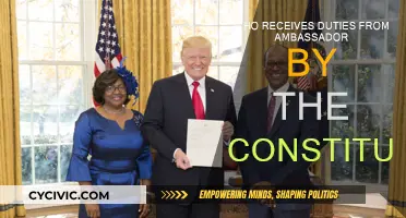 Who Receives Reports from Ambassadors: The US Constitution