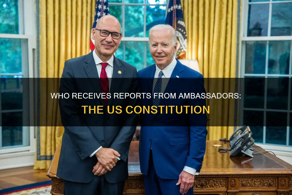 who receives duties from ambassador by the constitution