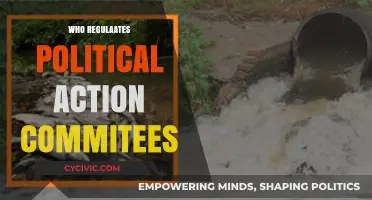 Who Oversees Political Action Committees? Understanding PAC Regulation