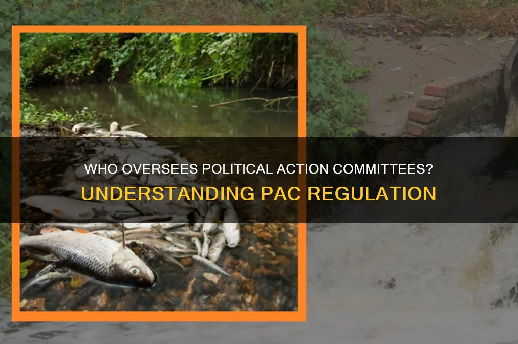 who regulaates political action commitees