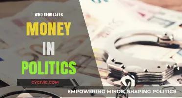 Who Oversees Campaign Finances? Unveiling Political Money Regulators