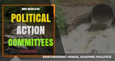 Who Oversees Political Action Committees: Understanding PAC Regulation and Oversight