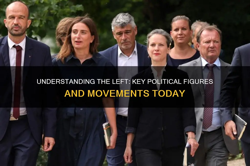 who represents the left politically