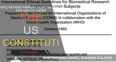 Health Responsibility: Who Does the US Constitution Empower?