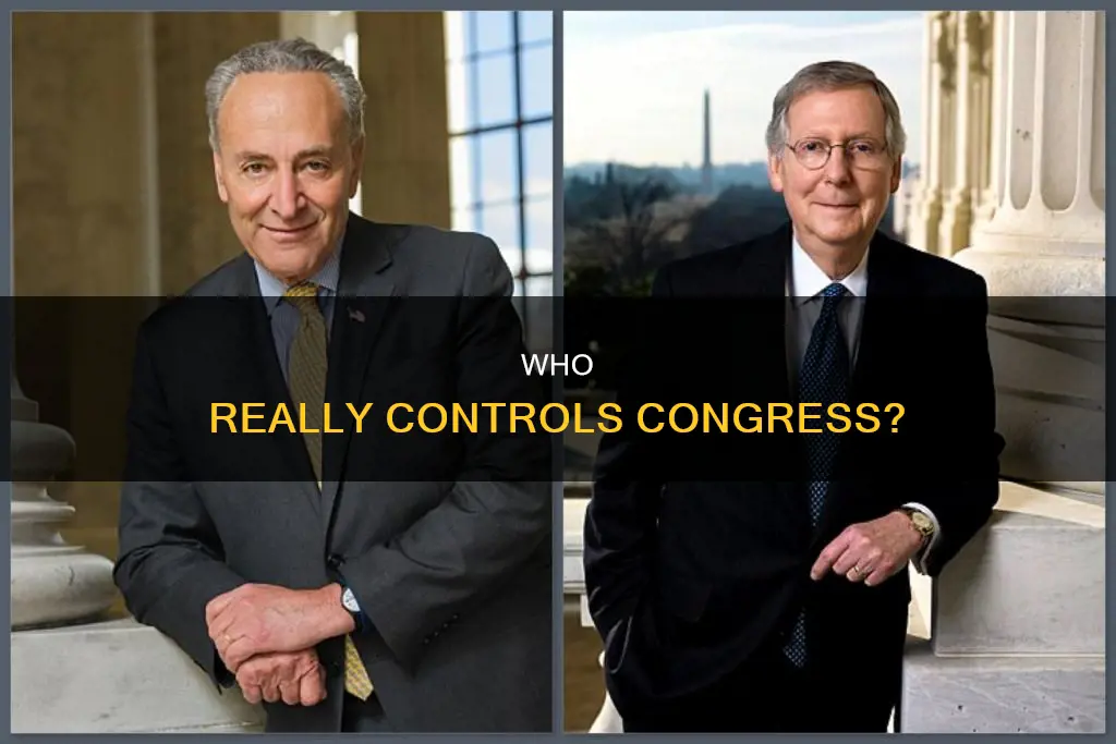 who runs the house of representatives and the senate constitutionally