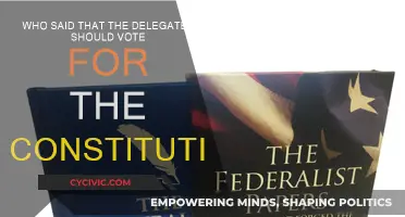 Persuading the Delegates: Vote for Constitution