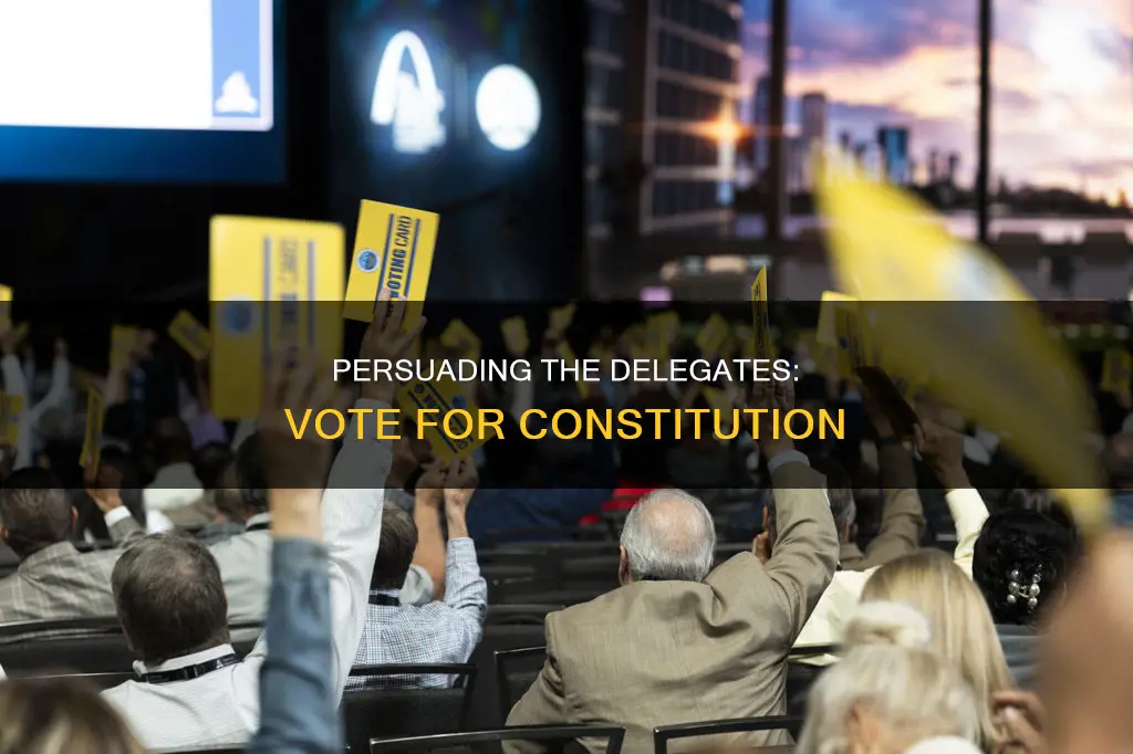 who said that the delegates should vote for the constitution