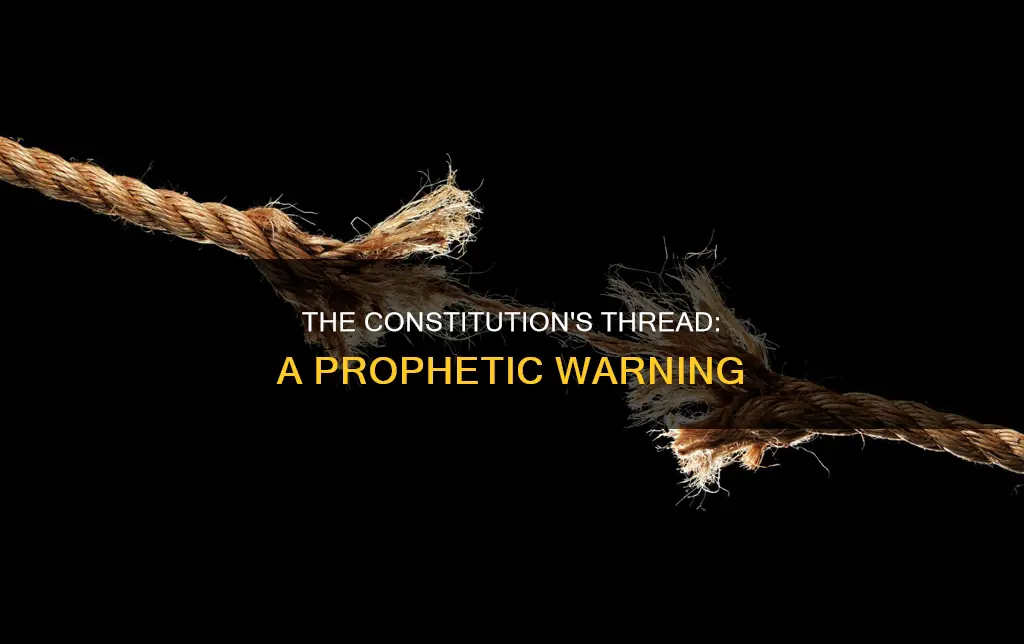 who said the constitution will hang by a thread