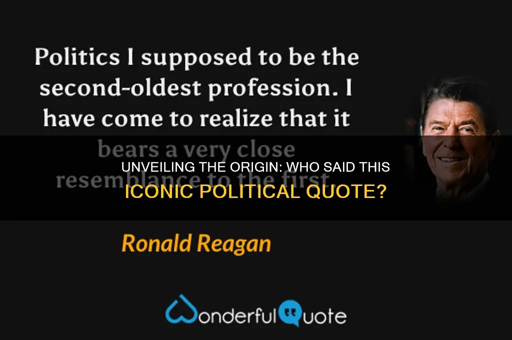 who said this quote politics