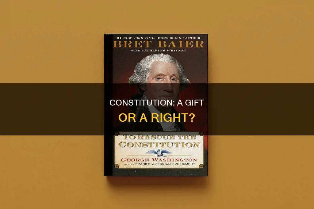 who said we have given you a constitution