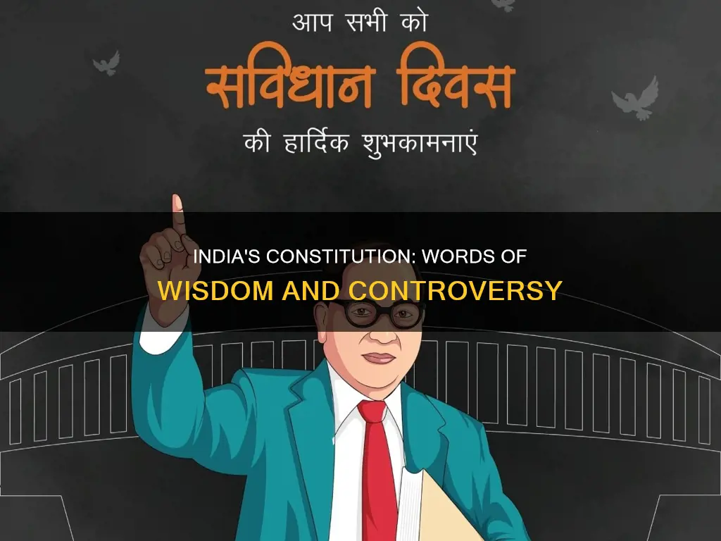 who said what about indian constitution