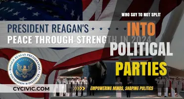 United We Stand: Why Avoiding Political Parties Strengthens Democracy