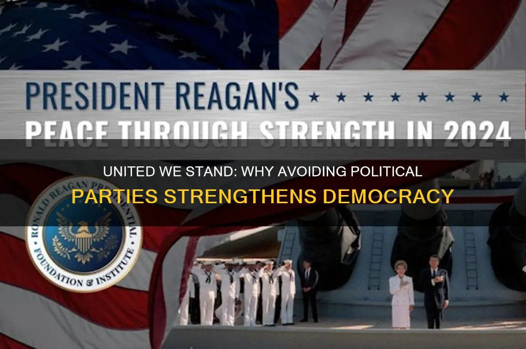 who say to not split into political parties