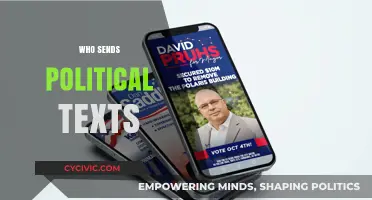 Who Sends Political Texts? Unmasking the Sources and Strategies Behind Campaign Messaging