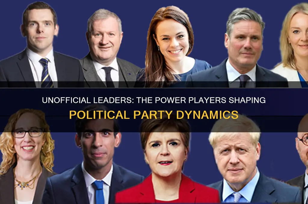 who serves as unofficial leader of their political party