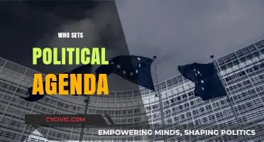 Who Controls the Political Agenda? Power, Influence, and Decision-Makers