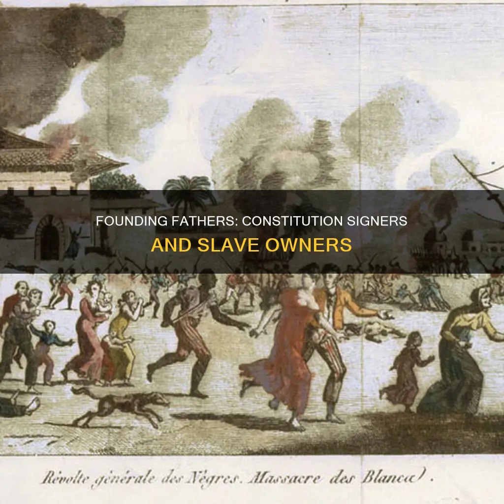 who signed the constitution and owned slaves
