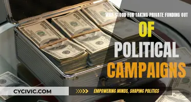 Private Funding: Political Campaigns' Bane or Savior?