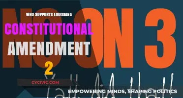 Louisiana Amendment 2: Who's in Support?