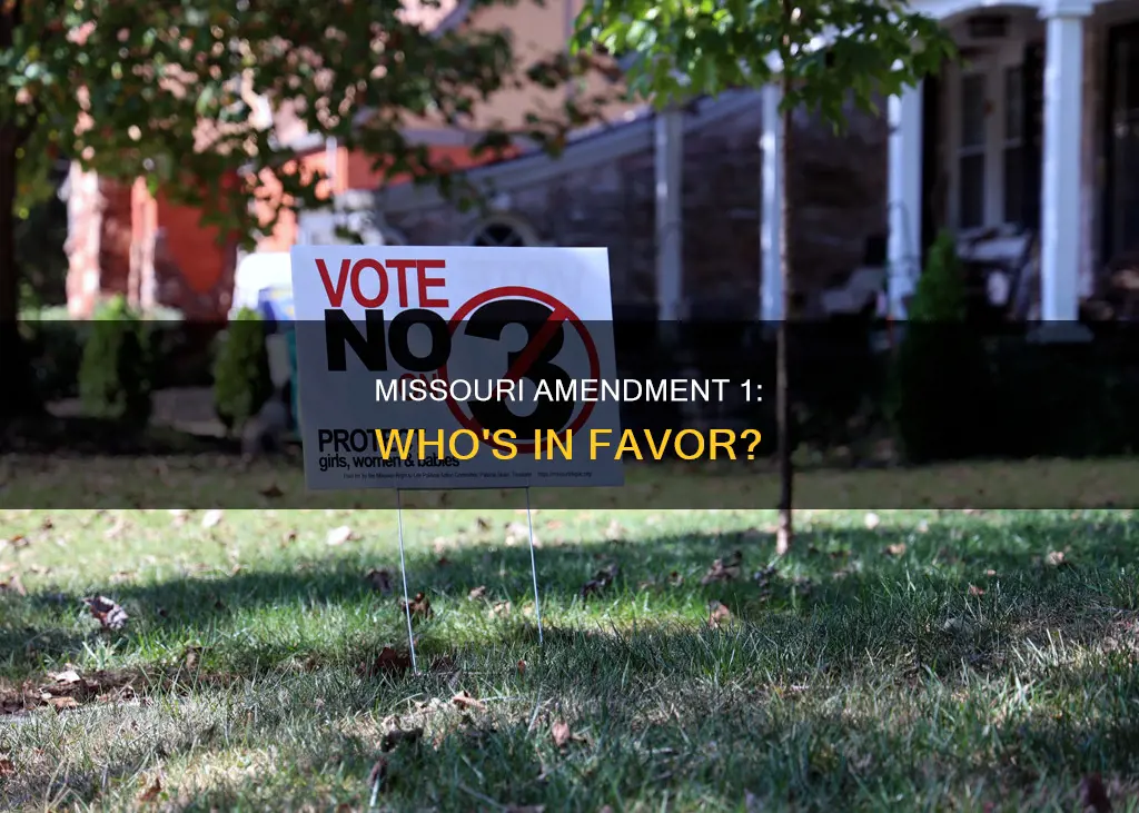 who supports missouri constitutional amendment 1