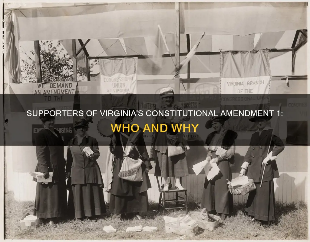 who supports virginia constitutional amendment 1