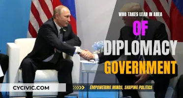 Diplomacy Leadership: Government's Role in Global Relations