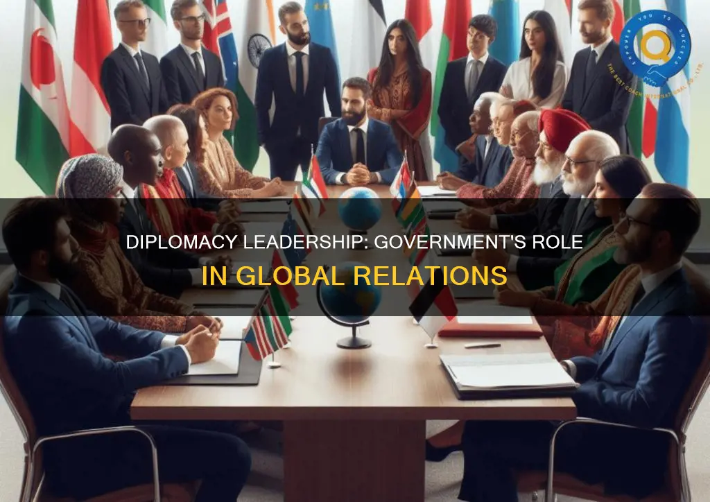 who takes lead in area of diplomacy government