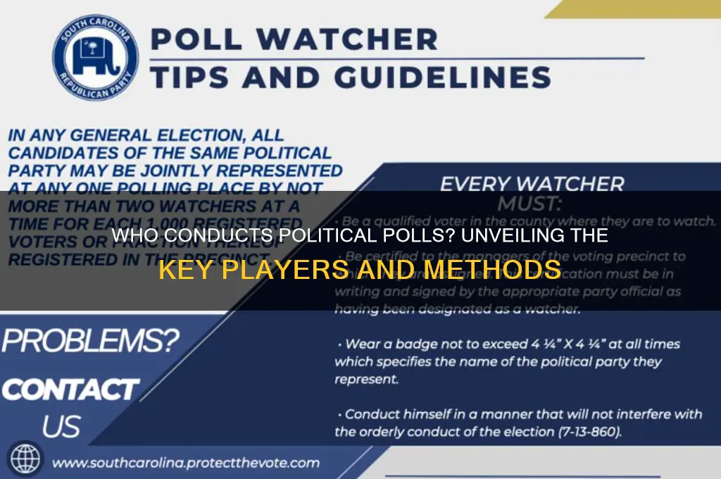 who takes political polls