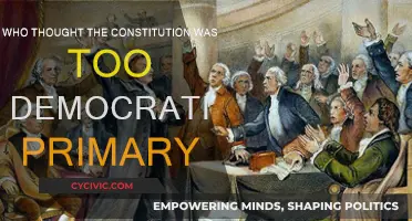 The Constitution: Too Democratic?