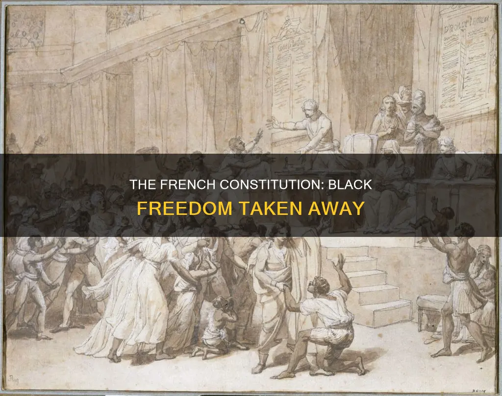 who took away freedom from blacks int he french constitution