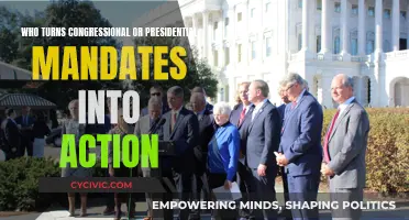 Mandates to Action: Who Makes Democracy Work