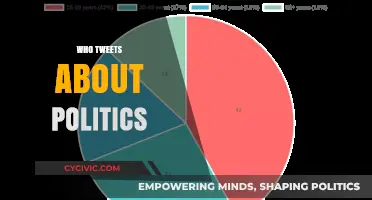 Who Shapes Political Discourse on Twitter? A Demographic Analysis