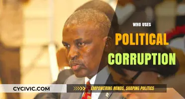 Unveiling the Hidden Players Behind Political Corruption: Who Benefits?