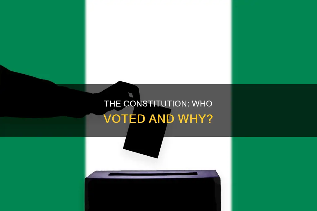 who voted for what was on the constitution