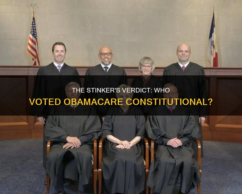 who voted obamacare was constitutional on the stinker