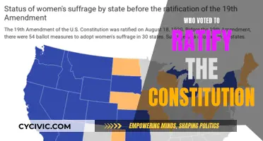The Constitution's Ratification: Who Were the Deciding Voters?