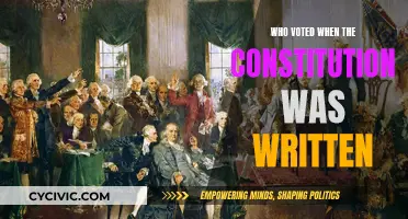 Who Had a Say in the Constitution's Creation?